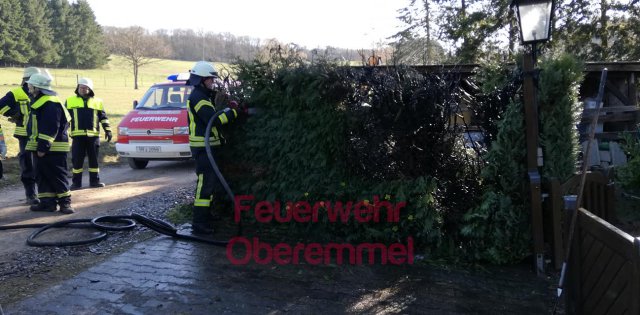 Einsatz 31.03.20 Flaechenbrand klein (2)